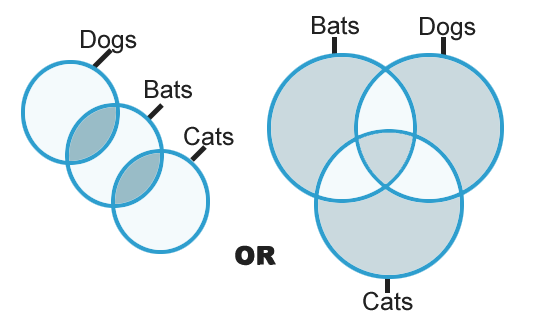 Syllogisms mcq Solutions7